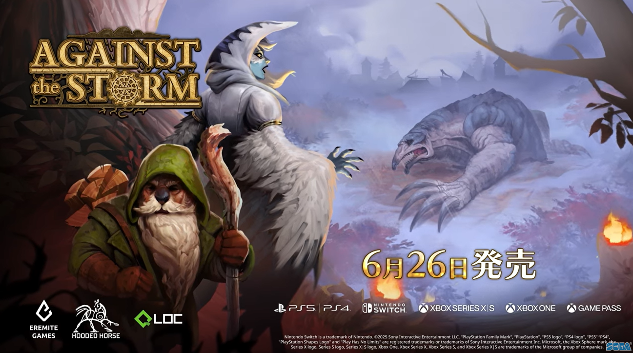 ‼️値下げはコメントで‼️ 【ストーム社】DNAストランド 値下げはコメントで‼️ 【ストーム社】DNAストランド 値下げは