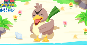 【ポケモンスリープ】あの「カモネギ」がついに登場！ぐっすり寝て出会おう♪