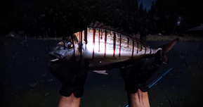 湖の静けさに潜む恐怖──ホラー釣りゲーム『Out Fishing』が正式発表！ 釣りしながら失踪事件の謎を追う新作インディー